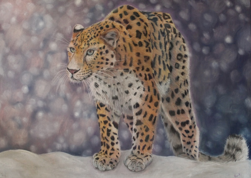 DauntAmurLeopard (800x569)